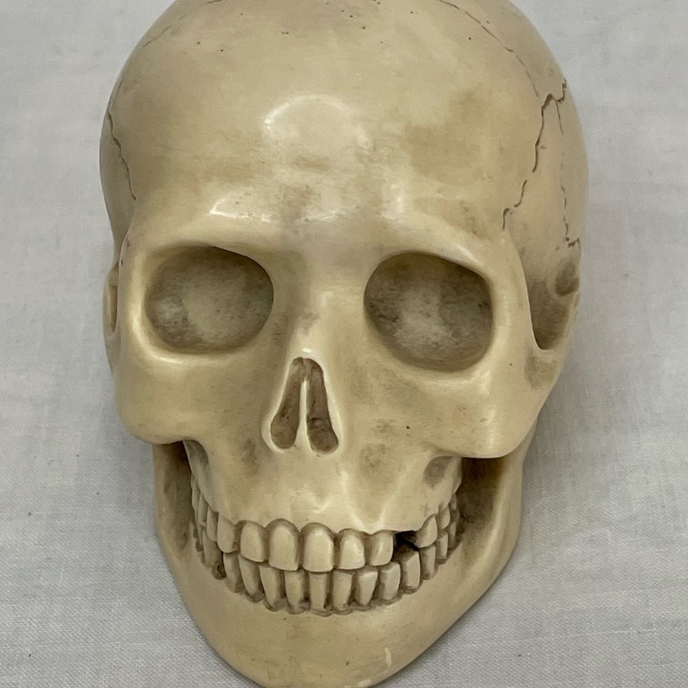 💀 SKULL paperweight or accent piece. Very realistic. Resin mold. SPOOKY 💀